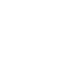 dot icon